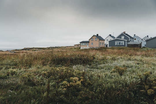 Vardo, Norway - 25 August 2025: View of charming coastal houses set against a grassy, rugged landscape under a cloudy, overcast sky in the Arctic region.