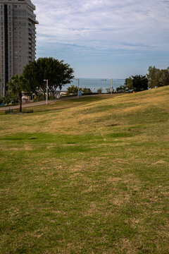 Expansive Green Urban Park in Ashdod Israel with Open Lawn Palm Trees Modern Residential Tower and Mediterranean Sea View Under a Bright Summer Sky, Peaceful Public Recreation Area