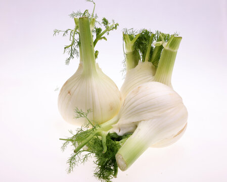Healthy and juicy fennel bulb