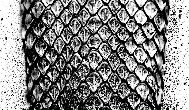 Abstract texture background of detailed snake skin scales with wildlife abstract monochrome background creature