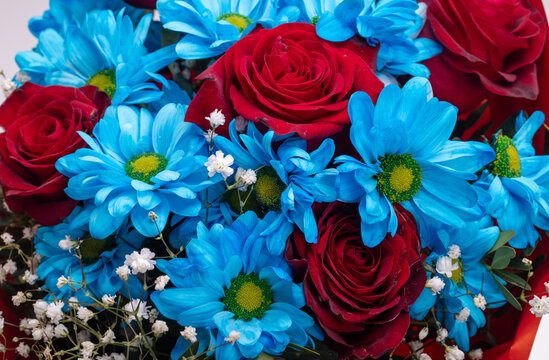 A floral bouquet of red roses, blue gerberas, and gypsophila
