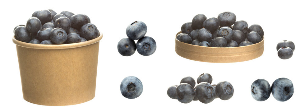 blueberries set with paper cup, paper tray, single berries isolated on transparent background