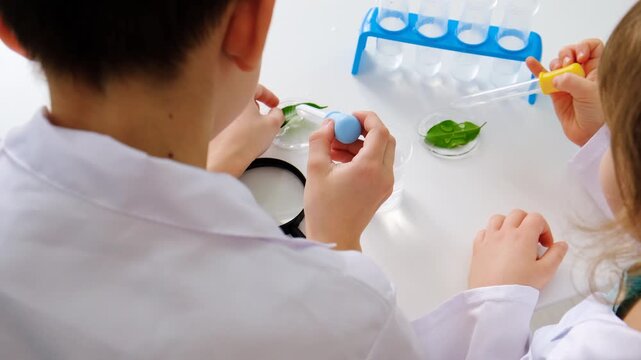 Laboratory examination of a child with test tubes, reagents and a microscope. Selective focus.