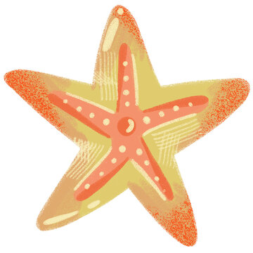 Estrella de mar