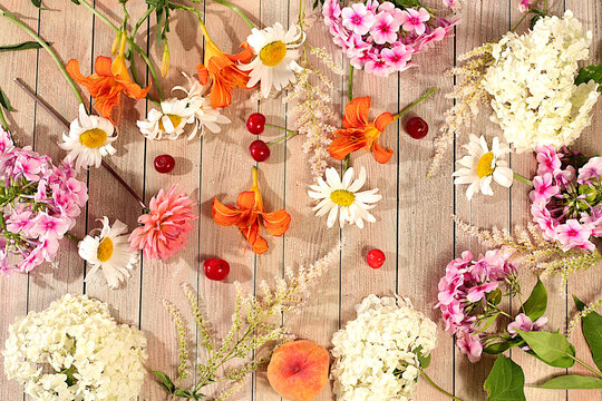 Advertising banner featuring beautiful garden flowers, fruits, and berries.drawing of daisies, hydrangeas, phlox, lilies, cherries, peaches and apricots makes for a sunny summer postcard.