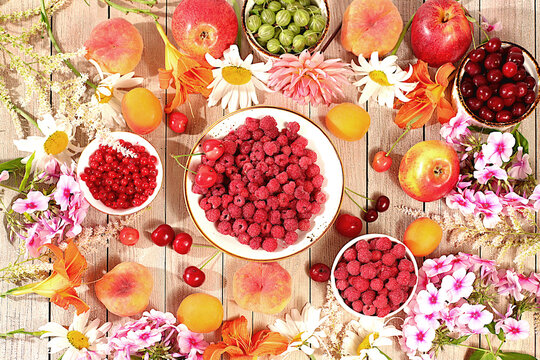 Advertising banner featuring beautiful garden flowers, fruits, and berries.drawing of daisies, hydrangeas, phlox, lilies, currants, cherries, raspberry and fruit makes for a sunny summer postcard.