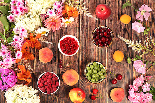 Advertising banner featuring beautiful garden flowers, fruits, and berries.drawing of daisies, hydrangeas, phlox, lilies, currants, cherries, raspberry and fruit makes for a sunny summer postcard.