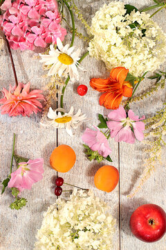 Drawing of daisies, hydrangeas, phlox, lilies,cherries, peaches and apricots makes for a sunny summer postcard. Advertising banner featuring beautiful garden flowers, fruits, and berries.