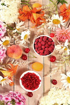Advertising banner featuring beautiful garden flowers, fruits, and berries.drawing of daisies, hydrangeas, phlox, lilies, currants, cherries, raspberry and fruit makes for a sunny summer postcard.
