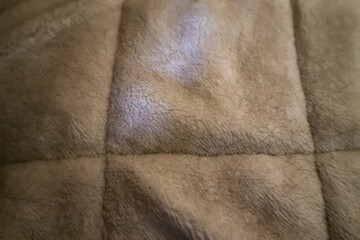 close-up of soft beige tan fleece or sherpa fabric with quilted stitching lines creating a grid pattern, showing plush texture with some pet hair visible © Andy Bergen