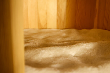 Soft Fleece Bedding Inside Wooden Cat Tree Enclosure with Warm Cozy Lighting © Andy Bergen