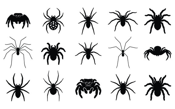 Set of black spider silhouettes as spooky halloween vector elements for festive holiday decorations and graphic design projects