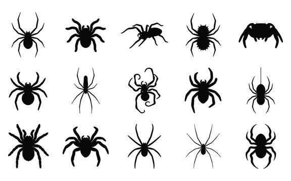Set of black spider silhouettes for halloween vector elements design collection isolated on a white background