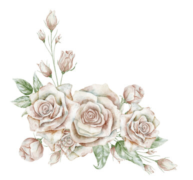 Watercolor Rose Bouquet on isolated background. Elegant floral arrangement with blooming roses and delicate foliage in vintage style. Botanical illustration for invitations and wedding stationery.