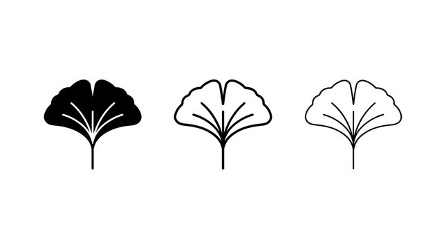 Ginkgo leaf icon set. Nature plant symbols isolated on transparent background