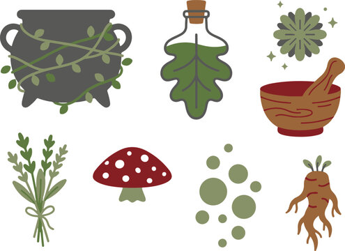 Witches brew ingredients set, cauldron, potion, mortar, mushroom, mandrake