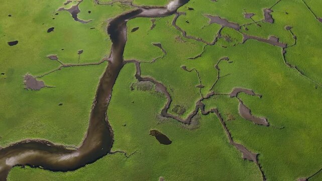 Narrow channels meander through a beautiful and extensive salt marsh in Pleasant Bay, Cape Cod. Marshes provide critical habitat for many birds, fish, and marine invertebrates to feed, mate, and nest.