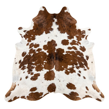 Brown and white spotted cowhide rug skin pattern