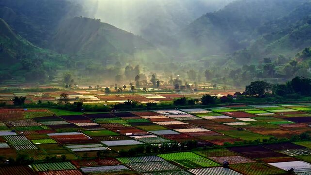 Aerial view of colorful agricultural fields in a valley with misty mountains at sunrise in Bali, Indonesia.