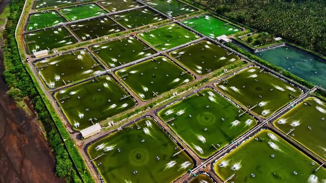 Aerial view of aquaculture shrimp farming ponds with water aerators in Bali, Indonesia.