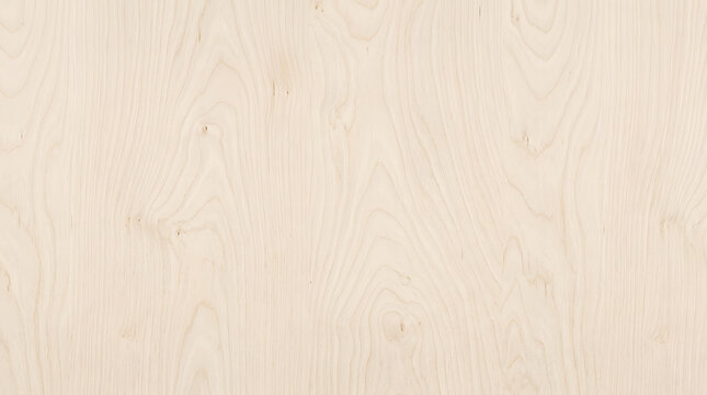 Light Birch Wood Grain Texture, Natural Pale Wood Surface, Seamless Pale Wood Background for Design and Decor