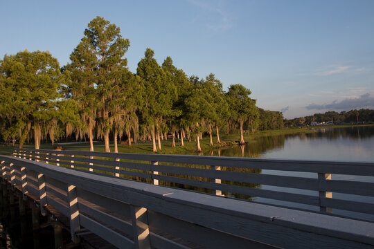 A dock at Lake Henderson in Wallace Brooks Park, Inverness, Florida