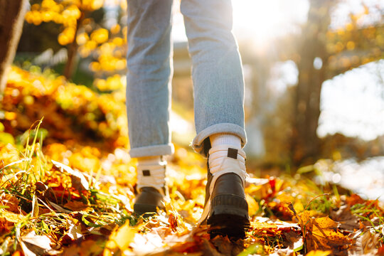 Female feet in hiking boots walk along a path strewn with fallen leaves. Close-up. A woman's legs are surrounded by vibrant autumn leaves in a park. Seasonal concept, autumn.