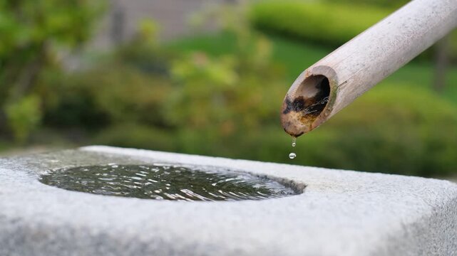 Japanese zen bamboo water fountain Tsukubai dripping into stone basin, close up