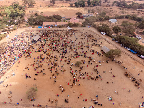 Aerial view of Kimana Animal Market with a large crowd of people and cattle gathered in a dusty fenced enclosure in Kimana, Kajiado County, Kenya.
