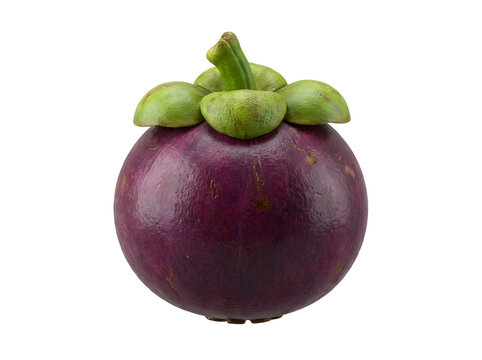 A single, ripe mangosteen fruit with its characteristic deep purple rind and green leafy crown, isolated on a white background.