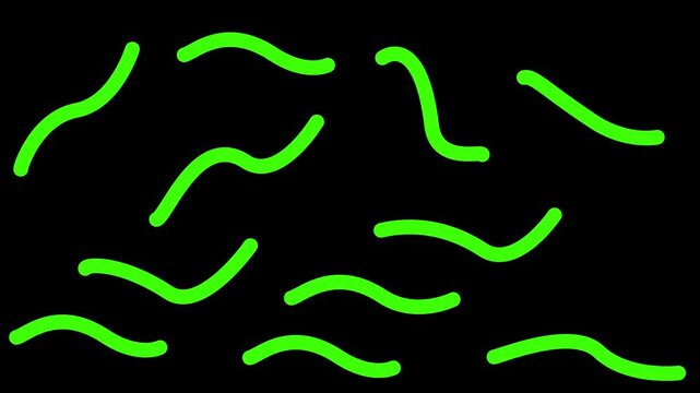 Animated green squiggly lines crawling on a black background. Fun abstract doodle motion graphics for playful designs.