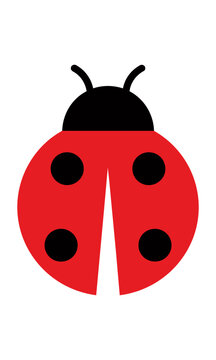 Minimalist flat design ladybug icon with a vibrant red body and black spots, isolated on white. Simple nature graphic design
