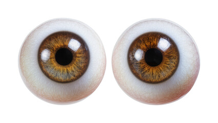 Isolated pair of realistic human eyeballs showing detailed brown irises and sclera veins © Conor