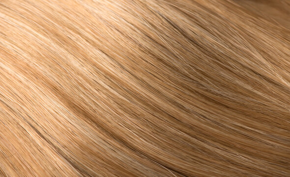 Blond hair background, lock of straight smooth hair, healthy and beauty dyed hair backdrop design, salon, treatment, cure, dying concept. Close up, top view 
