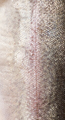 Raw trout red fish skin, scale texture, fillet, fish skin background. Cooking sea food. Healthy eating concept, Mediterranean cuisine, vertical image   © Subbotina Anna