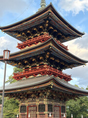 Obraz premium temple in Tokyo Nara