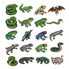 Naklejka premium Set of Various Reptiles Amphibians and Small Animals Illustrations.