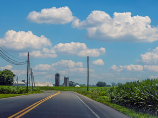 Country Road © Andrew Kazmierski