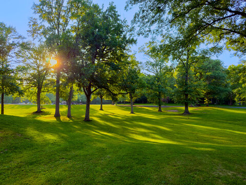 Park Light