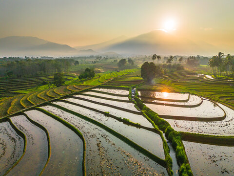 Aerial view of lush green rice terraces at sunrise with palm trees and distant mountains in Bali, Indonesia.