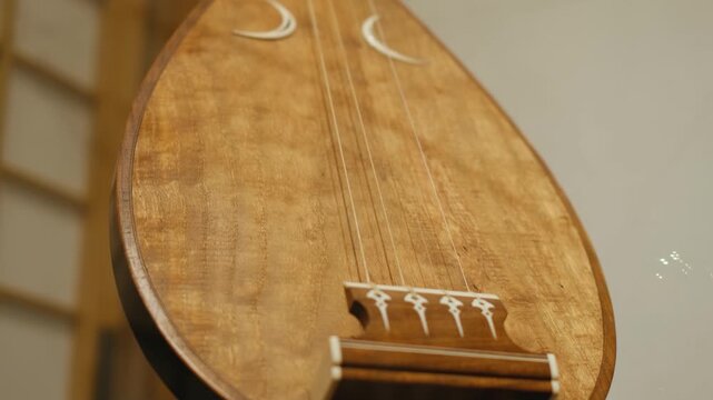 Traditional japanese biwa lute instrument on wooden Stand