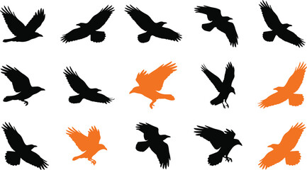 Fototapeta premium Collection of black and orange flying raven silhouettes for halloween design projects isolated on transparent background