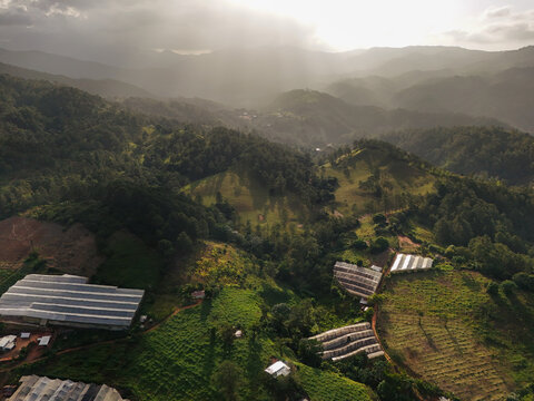 Aerial view of agricultural greenhouses nestled in lush mountains with golden sunlight filtering through the clouds over the landscape in Jarabacoa, La Vega Province, Dominican Republic.