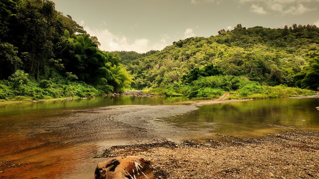 Aerial view of a river flowing through the lush green hills and tropical vegetation of San Sebastian, San Sebastian, Puerto Rico.