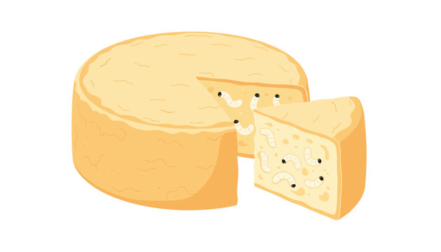 Sliced round cheese wheel containing worms and larvae on white background.