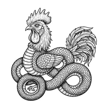 Vintage hand drawn black and white line art illustration of a mythical cockatrice basilisk creature with serpent body.