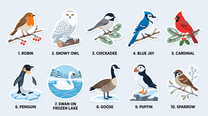 A collection of ten distinct bird species, including robin, snowy owl, chickadees, blue jay, cardinal, penguin, swan, goose, puffin, and sparrow, depicted in individual illustrations. © hudannrmtqn