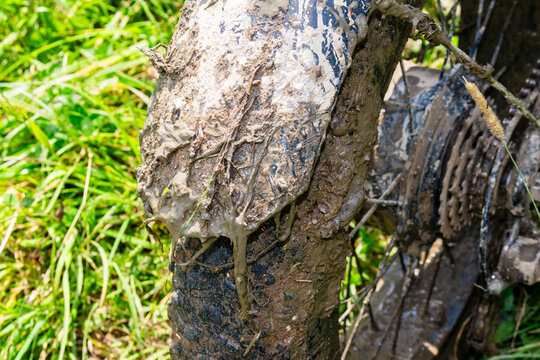 Close-up of an e-bike rear fender heavily caked with thick swamp mud after an intense off-road ride through a wet marshy trail on a sunny day in the countryside