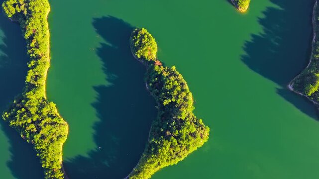 Aerial view of green forest islands surrounded by emerald water in Thousand Island Lake, Hangzhou, Zhejiang, China.
