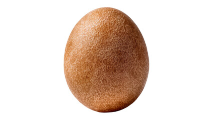 Fototapeta premium Isolated single exotic lychee fruit displaying its unique bumpy, textured, reddish-brown skin.